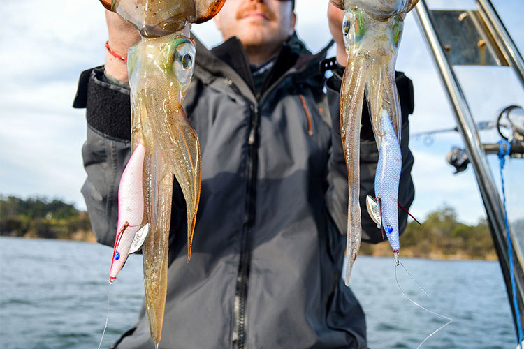 Home 15 home-fishkool blog