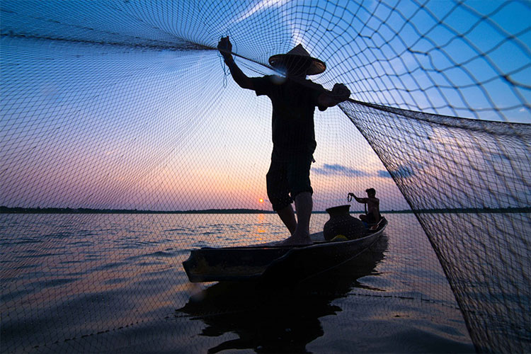 Home 14 home-fishkool blog