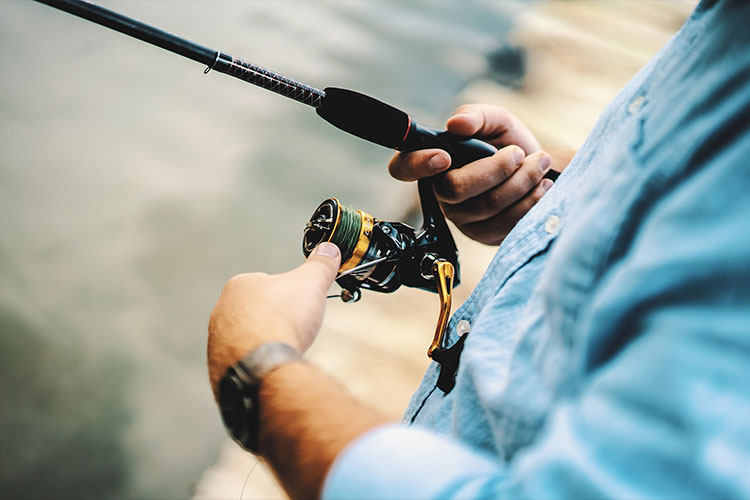 Home 13 home-fishkool blog